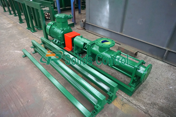 Screw Pump For South Africa Client title=